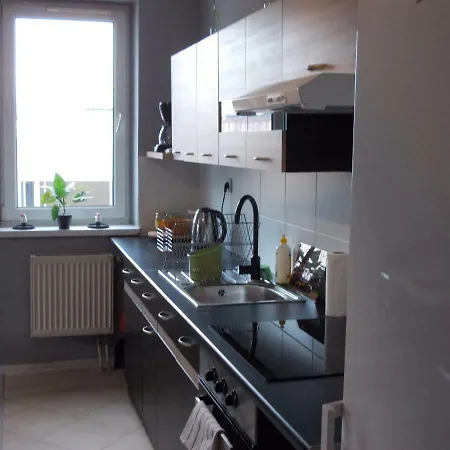 Scigaly Apartament 公寓 卡托维兹