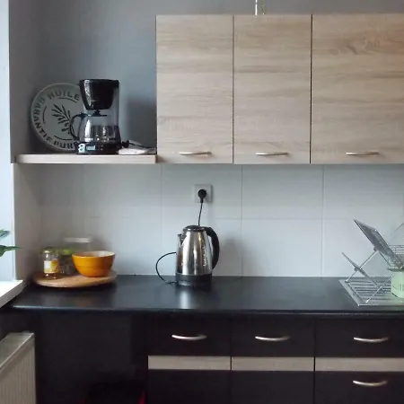 Scigaly Apartament Katowice
